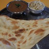 ネパールカレー Raja 1号店のレディースセット＠太平