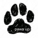 paws up　