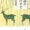  生命の木の下で