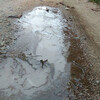 散歩：水たまりに薄氷