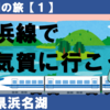 【浜名湖の旅】天竜浜名湖鉄道で西気賀へ行こう！