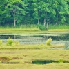 苔沼（秋田県湯沢）