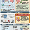 パーキンソン病患者のビタミンB6管理｜レボドパ/カルビドパ時代に「避ける」ではなく「評価して補う」