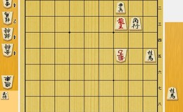 記事を見る