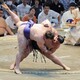 名古屋場所14日目の結果　琴勝峰２敗で千秋楽へ　安青錦と草野が３敗で並び追走