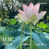 日陰を求めて