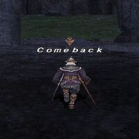 Ff11 できるスーパーナイト入門 新規 復帰向け Return To The Ff11