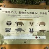 2026.04.16-19. 日記