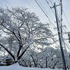 ☆積雪に気をつけてください☆