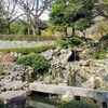 鹿児島の隠れた宝石たち - 桜島の影に輝く絶景スポット