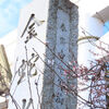 金蛇水神社に幸先詣