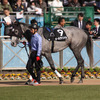 ポールヴァンドル 復帰は夏競馬以降