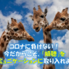 コロナに負けない！今だからこそ、「傾聴」をコミュニケーションに取り入れよう