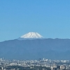 今朝の富士山