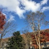 久しぶりの札幌は新鮮に🍁🍂🍃