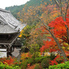 京都　善峰寺の秋を訪ねて