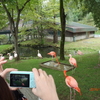 北海道　旭川　旭山動物園