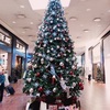 聖夜に想うこと【2017年クリスマスによせて】