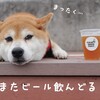 秋風に吹かれて・・・外飲み