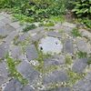 理想に近づいた初夏のレンガサークル目地植物。7月に除草してなくなった目地植物。