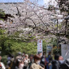 上野恩賜公園　人出