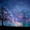 漢字からわかる、宇宙の虚像性や仮想現実的な要素。宇は屋根、陽は偽、月は隠、光は影・・・