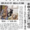 メンバーが新聞記事に！