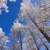 2024年2月11日　何もしないをする雪山キャンプday2