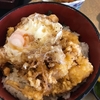 かき揚げ丼