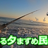 【#21】ど日中ベイトが戻ってきて”色々な魚”が釣れました🐟in田原サーフ【釣行日2023/12/11(月)】