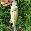 【2021‐8/21(土)新利根川釣行】