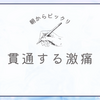 朝からとんでもない目にあったのです