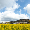 奈良県天理市で菜の花の撮影。山の辺の道の洋食屋でトミサブローという絶品スイーツに出会う