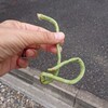 面会