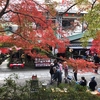 第35回 深大寺そば祭り2016に行って来ました♪