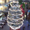 ファクトリーのクリスマスツリー