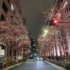 江戸桜通り