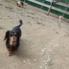 求められる・必要とされる事。