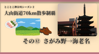 【大山街道70km散歩制覇】その⑫ さがみ野→海老名