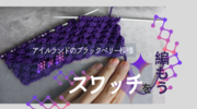 【atelier hagire】【スワッチコレクション】【編み図と編み方動画】たったこれだけでできる模様の世界／アイルランドのブラックベリー模様