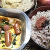 ウインナ卵弁当