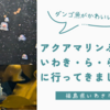 アクアマリンふくしま、いわき・ら・ら・みゅうに行ってきました