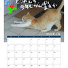 【はてなブログ】の猫さんたちをモデルにしたカレンダーが欲しいと思った。