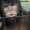 めっちゃおもろい動物園と信楽高原鐵道完撮〜ハシビロコウに会いにいく