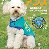 The doggo videos 犬動画たち