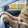 私には…帰れる所があるんだよ ヽ(；▽；)ノ