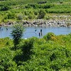 ７月１８日、　川遊びの季節になったね～‼️