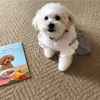 愛犬のためのかんたんトッピングごはんという本を読んで学ぶ