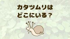 東京のカタツムリはどこにいる？見つけ方と捕まえ方を解説
