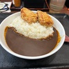 熱々の唐揚げと黒カレーがたまらなく美味い！！吉野家『から揚げ黒カレー』はもう食べましたか！？